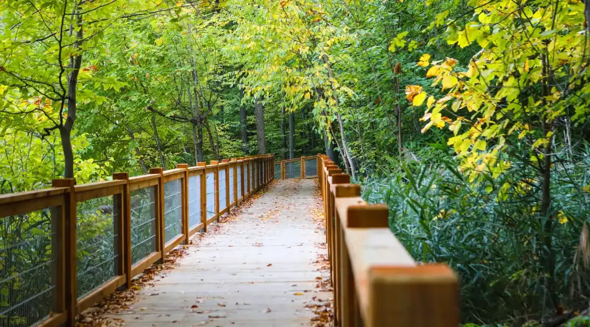 Passerelle en bois– aménagement institutionnel Parc du Grand-Coteau Mascouche