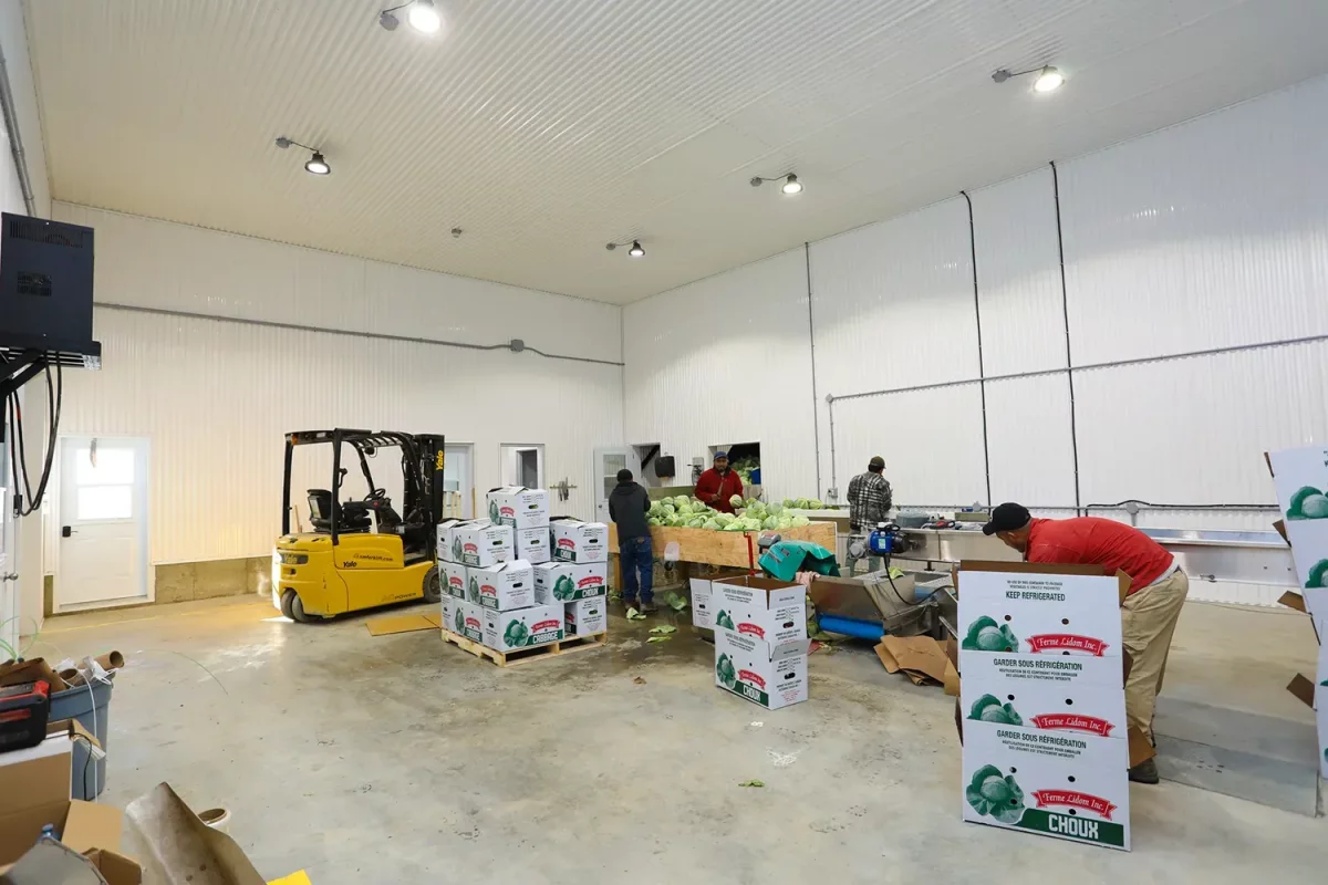 Zone de tri et emballage de légumes avec chariot élévateur jaune – entrepôt agricole Saint-Alexis Lanaudière par BGC