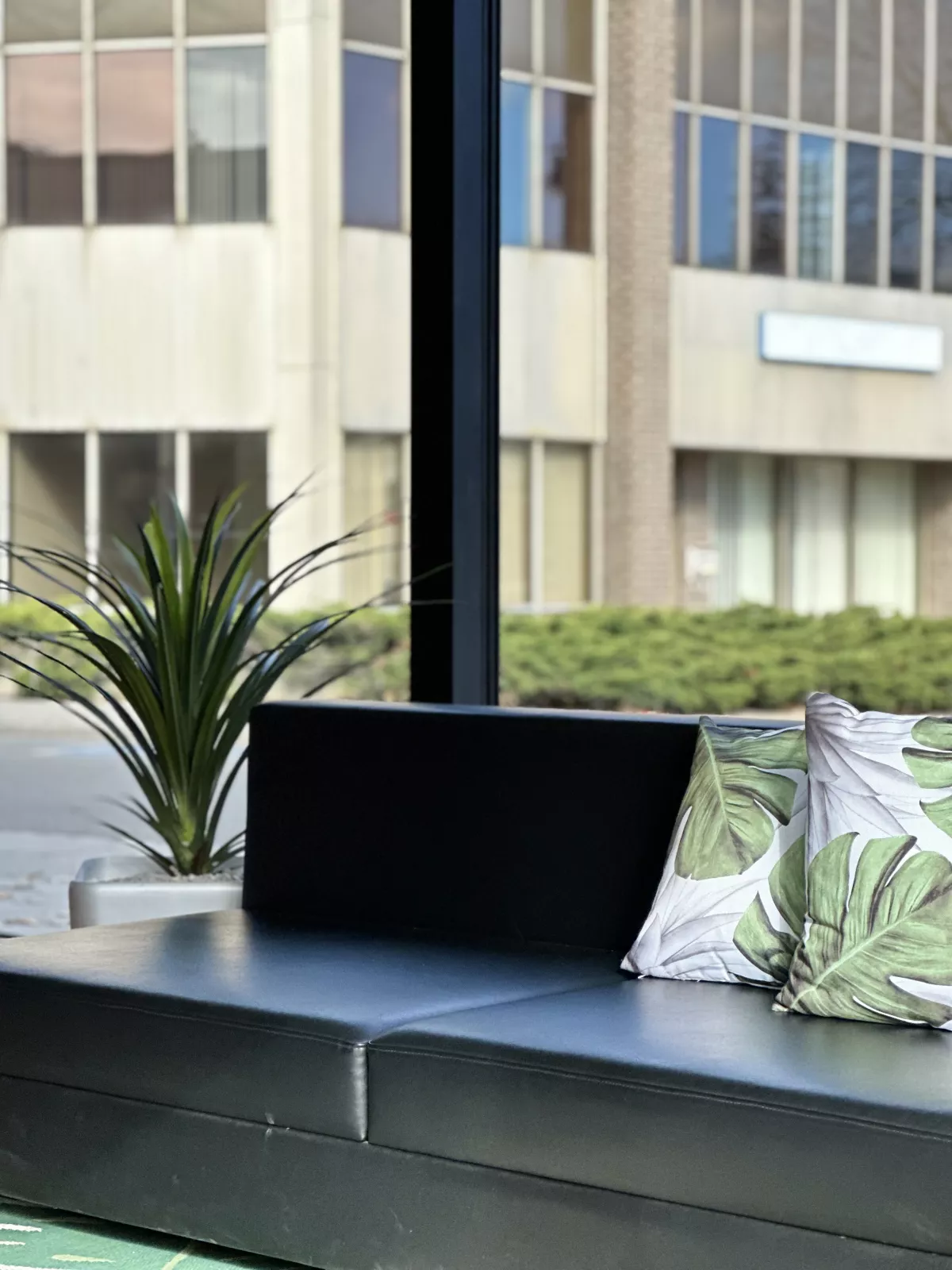 Banquette près de la vitrine avec coussins à motifs de feuilles tropicales