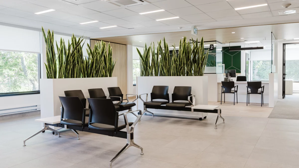 Aire d'attente Desjardins avec chaises noires, jardinières de sansevieria et comptoirs de service – BGC Lanaudière